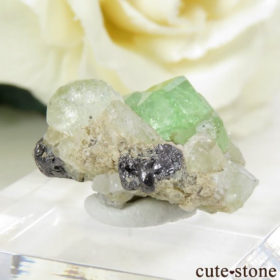 󥶥˥ ĥܥ饤ȡץȤǤդ뾽ʸС 17.9ctμ̿0 cute stone