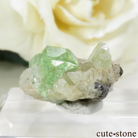 󥶥˥ ĥܥ饤ȡץȤǤդ뾽ʸС 17.9ctμ̿1 cute stone