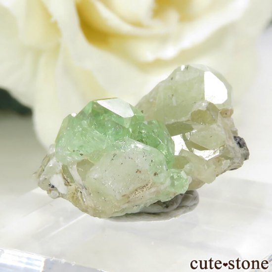 󥶥˥ ĥܥ饤ȡץȤǤդ뾽ʸС 17.9ctμ̿2 cute stone