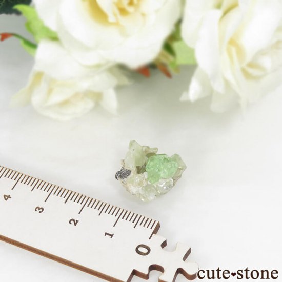 󥶥˥ ĥܥ饤ȡץȤǤդ뾽ʸС 17.9ctμ̿3 cute stone