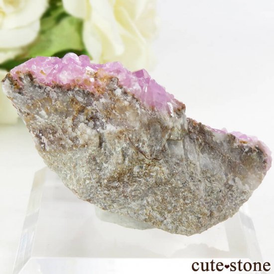 å Хȥ륵ȤΥ饹ʸС29gμ̿1 cute stone