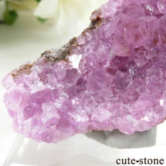 å Хȥ륵ȤΥ饹ʸС29gμ̿3 cute stone