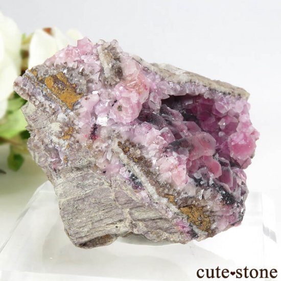 å Хȥ륵ȤΥ饹ʸС106gμ̿1 cute stone