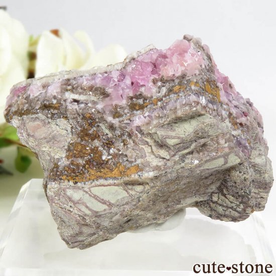 å Хȥ륵ȤΥ饹ʸС106gμ̿2 cute stone