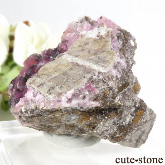 å Хȥ륵ȤΥ饹ʸС106gμ̿3 cute stone