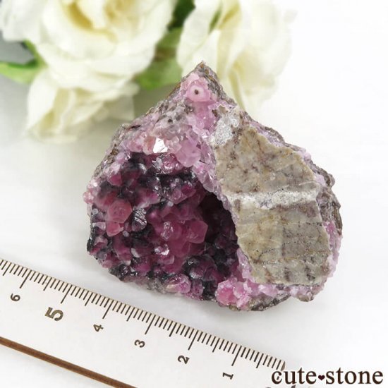 å Хȥ륵ȤΥ饹ʸС106gμ̿6 cute stone