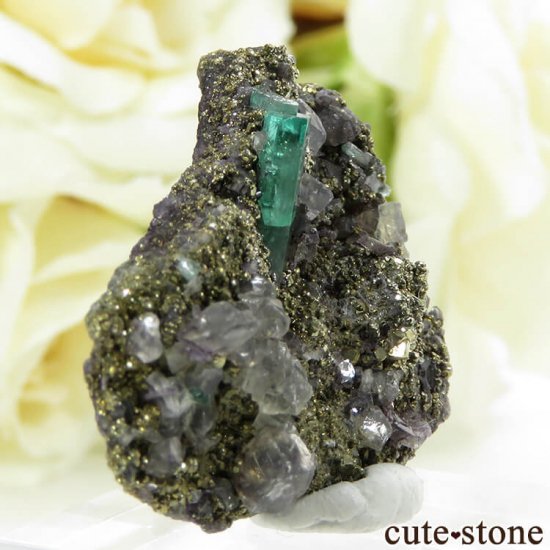 ӥ Chivor Mine ɡѥ饤Ȥդ뾽ʸС6.5gμ̿0 cute stone