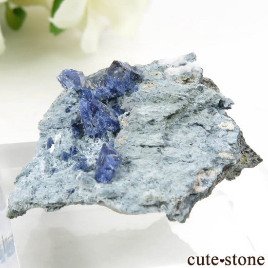 ե˥ ٥˥ȥȤդ뾽ʸС 11.6gμ̿0 cute stone