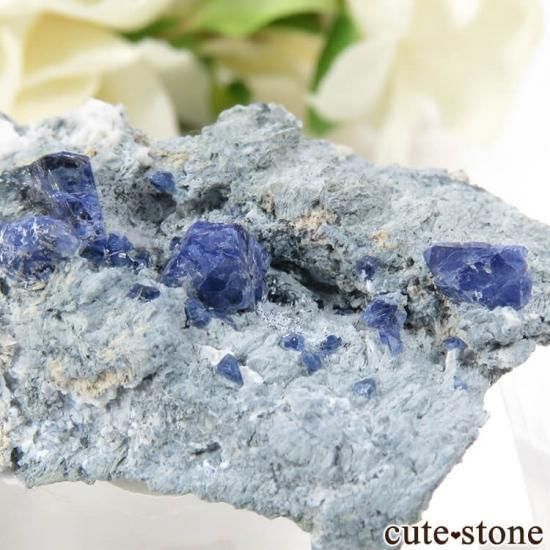 ե˥ ٥˥ȥȤդ뾽ʸС 11.6gμ̿3 cute stone