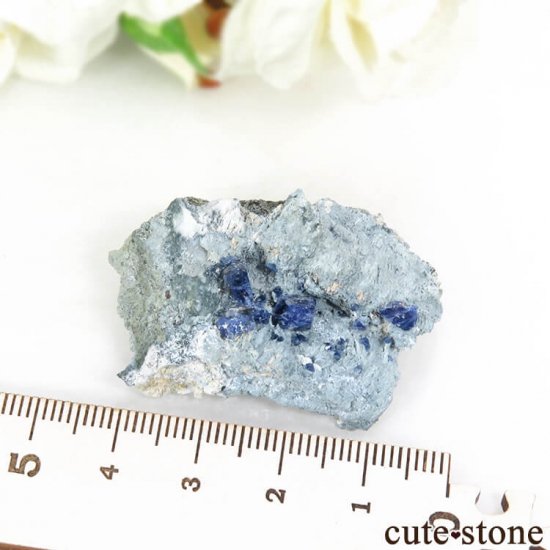 ե˥ ٥˥ȥȤդ뾽ʸС 11.6gμ̿6 cute stone