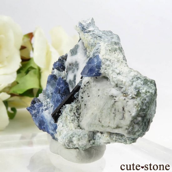 ե˥ ٥˥ȥȡͥץʥȤդ뾽ʸС 24.2gμ̿0 cute stone