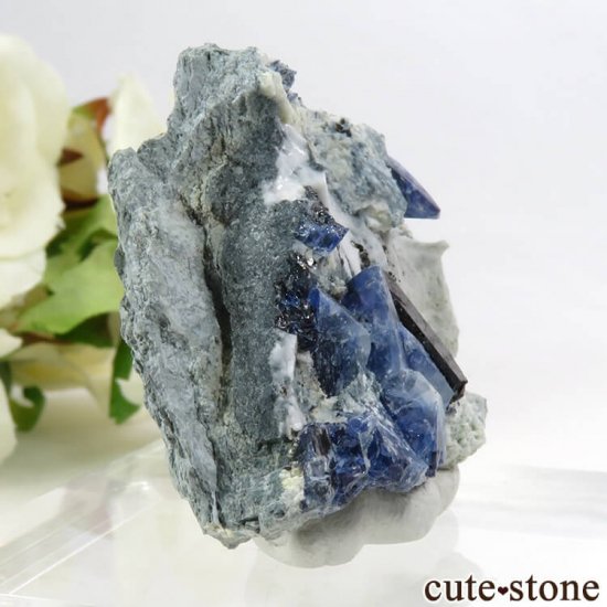 ե˥ ٥˥ȥȡͥץʥȤդ뾽ʸС 24.2gμ̿2 cute stone