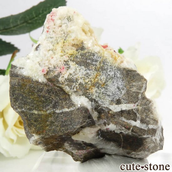 äʥ󥷥˥ʥСդ 56.8gμ̿0 cute stone