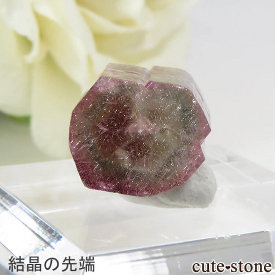֥饸 ߥʥ饤 ȥޥη뾽 3gμ̿3 cute stone