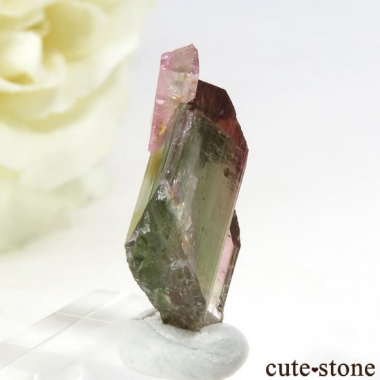 ޥ뻺 Х顼ȥޥη뾽 1.2gμ̿0 cute stone