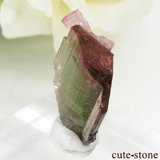 ޥ뻺 Х顼ȥޥη뾽 1.2gμ̿1 cute stone