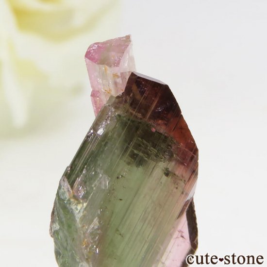 ޥ뻺 Х顼ȥޥη뾽 1.2gμ̿2 cute stone