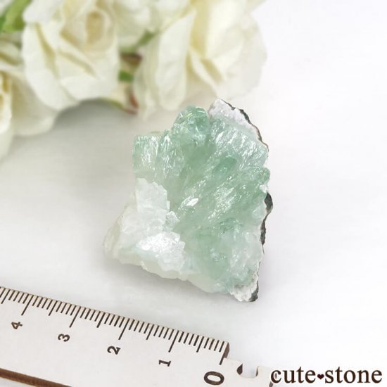  ץ͡ ꡼󥢥ݥե饤Ȥθ 36.3gμ̿5 cute stone