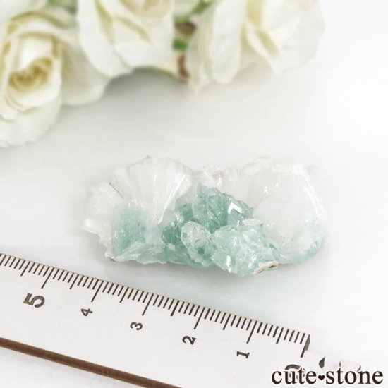  ץ͡ ꡼󥢥ݥե饤ȡƥХȤθ 20.6gμ̿5 cute stone