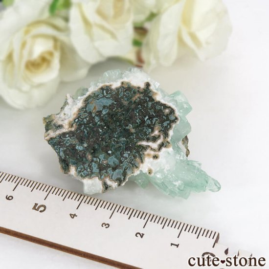  ץ͡ ꡼󥢥ݥե饤Ȥθ 27.5gμ̿5 cute stone