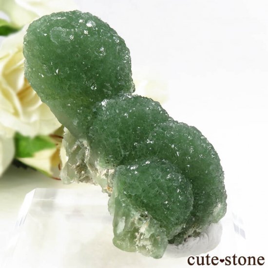  ʻ꡼ե饤Ȥθ 91gμ̿0 cute stone