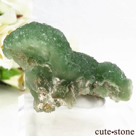  ʻ꡼ե饤Ȥθ 91gμ̿1 cute stone