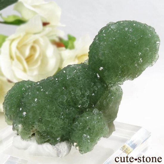  ʻ꡼ե饤Ȥθ 91gμ̿2 cute stone