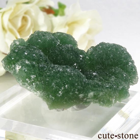  ʻ꡼ե饤Ȥθ 66gμ̿0 cute stone