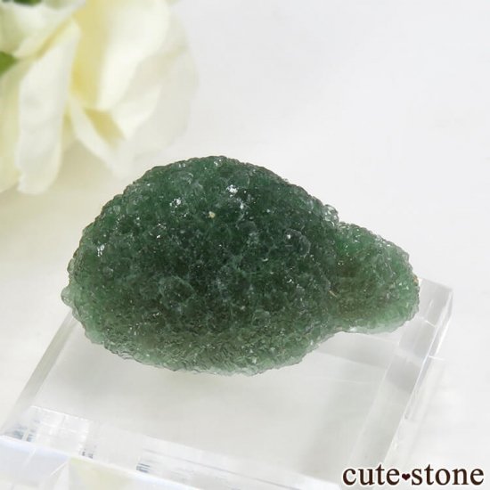 ʻ꡼ե饤Ȥθ 26gμ̿0 cute stone