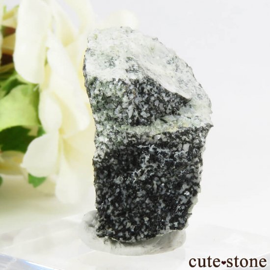 ե󥹻 ʥȤθ 22.4gμ̿1 cute stone