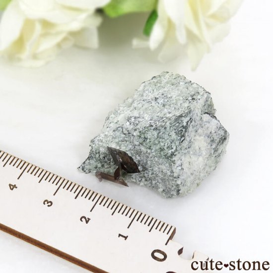 ե󥹻 ʥȤθ 22.4gμ̿5 cute stone
