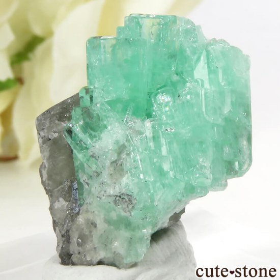 ӥ ॾۻ ɤդ뾽ʸС10gμ̿0 cute stone