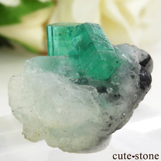 ӥ ॾۻ ɤդ뾽ʸС7.5gμ̿3 cute stone