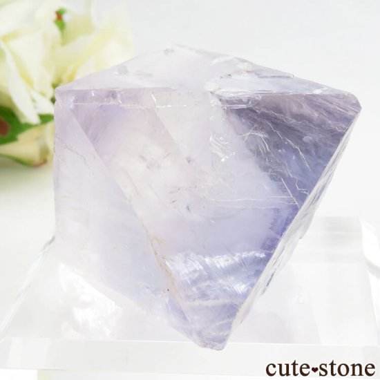 Υ Cave-in-Rock ȬΡʤؤ뾽˥ե饤ȡʷС112g μ̿0 cute stone