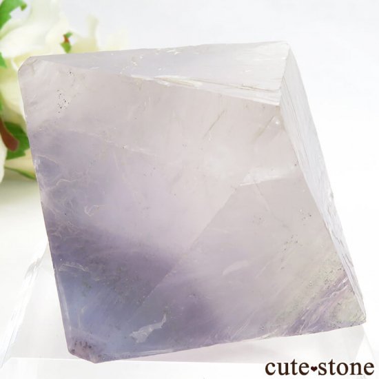 Υ Cave-in-Rock ȬΡʤؤ뾽˥ե饤ȡʷС172g μ̿1 cute stone