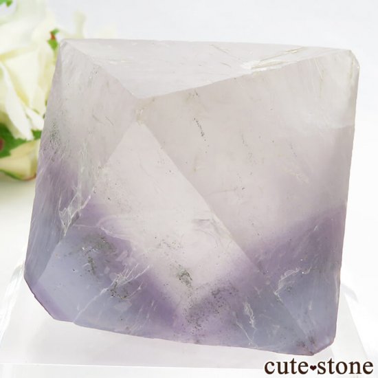 Υ Cave-in-Rock ȬΡʤؤ뾽˥ե饤ȡʷС172g μ̿2 cute stone