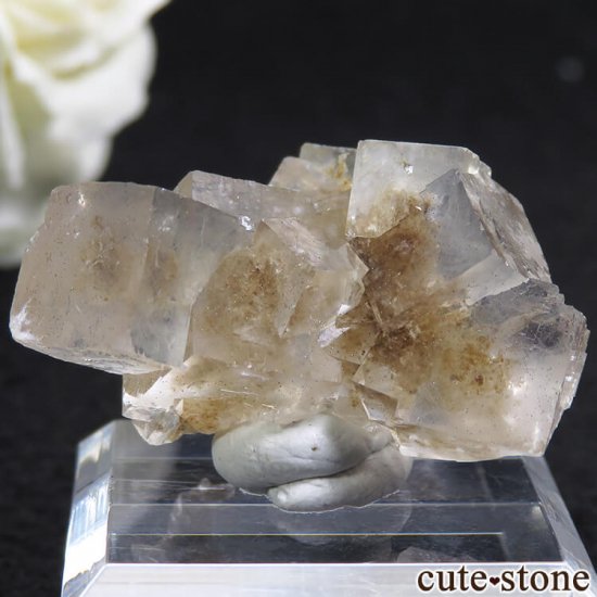 䥪󥷥 顼쥹ե饤 13.3gμ̿5 cute stone