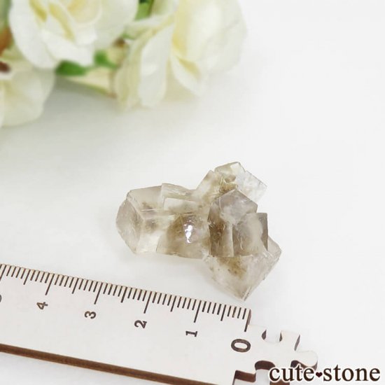 䥪󥷥 顼쥹ե饤 13.3gμ̿6 cute stone
