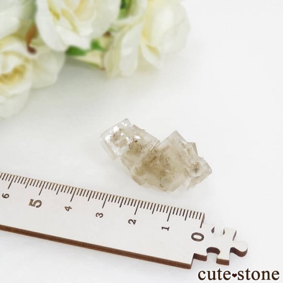䥪󥷥 顼쥹ե饤 12.5gμ̿5 cute stone