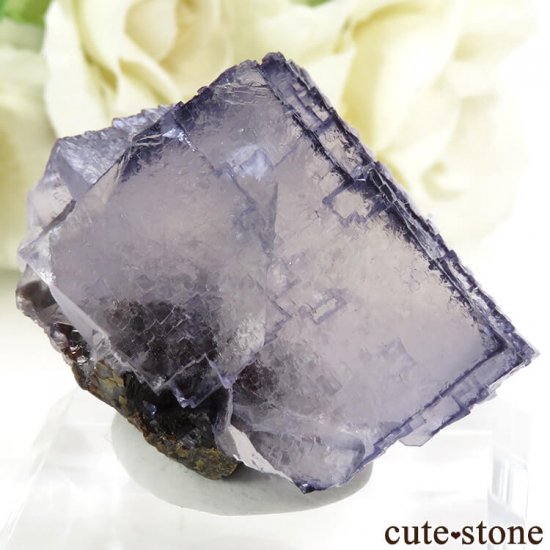 ꥫ ०åɹۻ ѡץ֥롼ե饤ȡե饤Ȥθ 53gμ̿0 cute stone