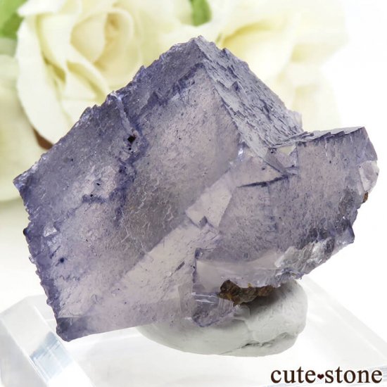 ꥫ ०åɹۻ ѡץ֥롼ե饤ȡե饤Ȥθ 53gμ̿2 cute stone