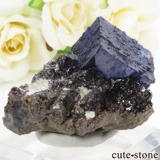 ꥫ ०åɹۻ ֥롼ե饤ȡե饤Ȥθ 68.5gμ̿0 cute stone