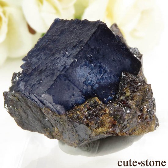 ꥫ ०åɹۻ ֥롼ե饤ȡե饤Ȥθ 68.5gμ̿2 cute stone