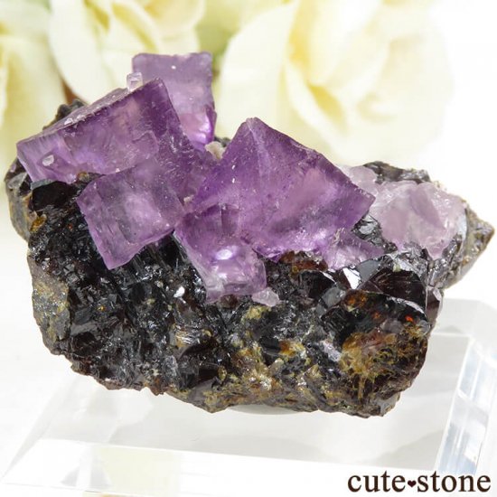 ꥫ ०åɹۻ ѡץե饤ȡե饤Ȥθ 61.4gμ̿0 cute stone
