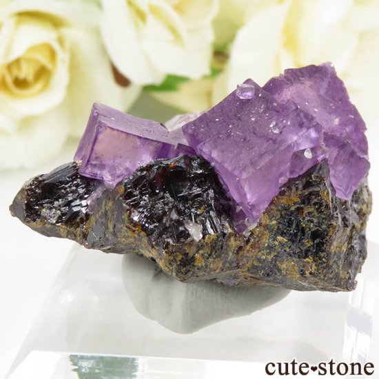 ꥫ ०åɹۻ ѡץե饤ȡե饤Ȥθ 61.4gμ̿1 cute stone