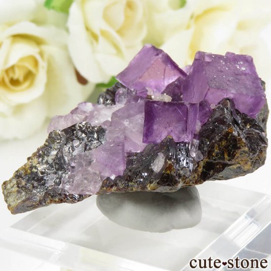 ꥫ ०åɹۻ ѡץե饤ȡե饤Ȥθ 61.4gμ̿2 cute stone