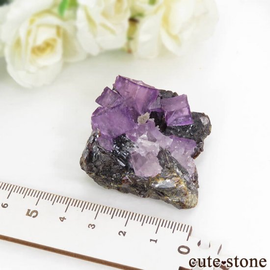 ꥫ ०åɹۻ ѡץե饤ȡե饤Ȥθ 61.4gμ̿5 cute stone