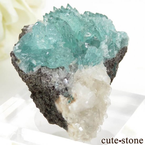  륬 ꡼󥢥ݥե饤Ȥθ 22gμ̿0 cute stone