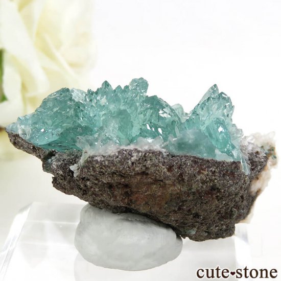  륬 ꡼󥢥ݥե饤Ȥθ 22gμ̿1 cute stone