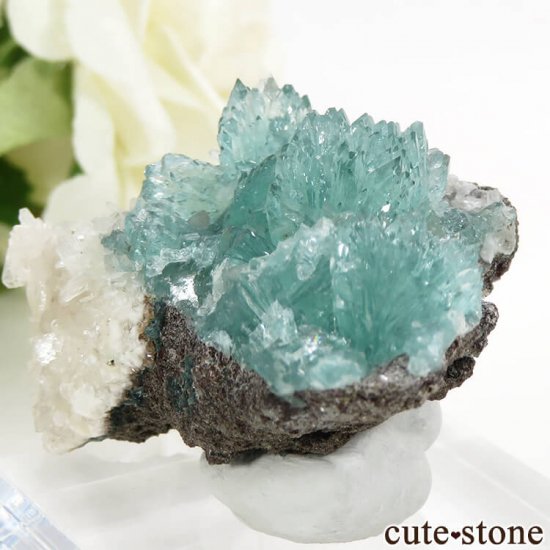  륬 ꡼󥢥ݥե饤Ȥθ 22gμ̿2 cute stone